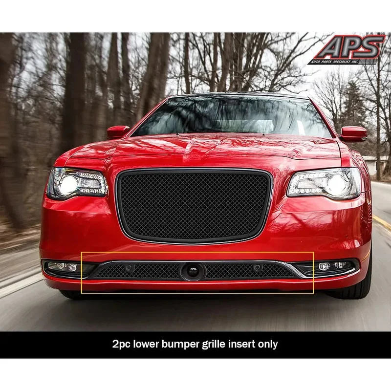 fasthemis13890570